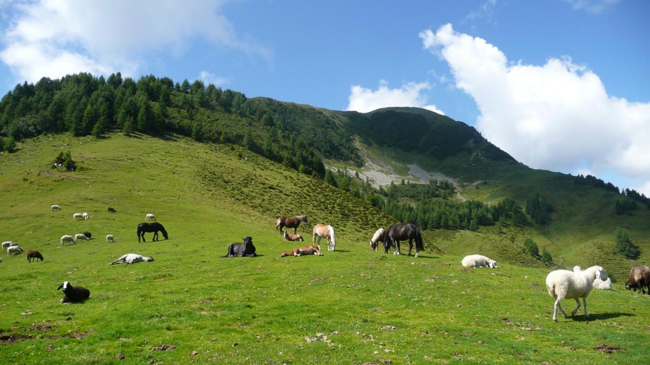 Haus Kaser Goderschach Dış mekan fotoğraf